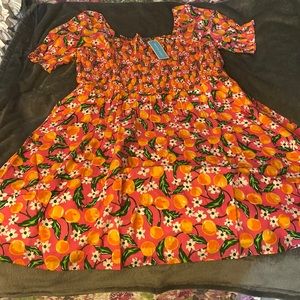 NWT- Draper James Cam Smocked Dress